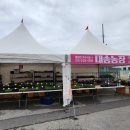 대송종묘사 이미지