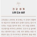 나이스카 이미지