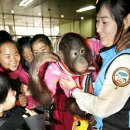 서울대공원노동조합 이미지