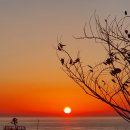 통구미전망대펜션 이미지