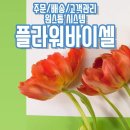 플라워바이셀