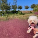 형제가든 이미지