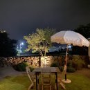 오늘도맑음식당