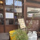 포카포카 이미지