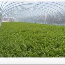 우천농장 이미지