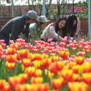 국제문화교류관 야외정원 이미지