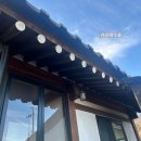 숲 펜션 | 순천 순천만 숲펜션 2동 후기(독채) +오천그린광장 해돋이!