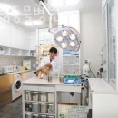 호 동물병원 이미지