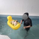 두바이애견풀빌라2 이미지