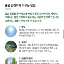 홉스(HOPS) | 플랜테리어 키트로 시작하는 반려식물 생활 ,맥주나무 홉재배부터 공기 정화까지, 케이홉스 후기,,!!