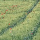 파로마가구 앞 이미지