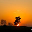 `주님의 기도`에 대하여 / 마이스터 엑크하르트 이미지