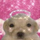 구구자원 | 영화통 해소하는 법: 시우프렌즈하기