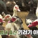 박규철농장 티스토리