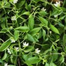 다팜농약사 이미지