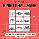 빙고 스테이