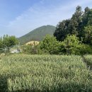 고현-0090 이미지