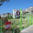 애견클럽 이미지