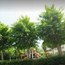 반송동196 이미지