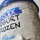 가야목장 | 코스트코 상하목장 그릭요거트 프로즌 2개 구매 솔직후기, 재구매는 과연? feat.김칩스