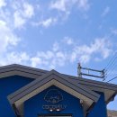 코코블리 애견운동장 이미지