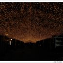 스머프팜 이미지