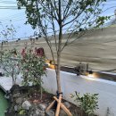 스테이스톤 이미지