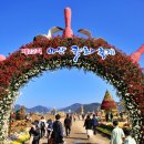 축제광장 및 수변공원 이미지