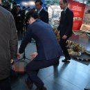 남성축사 이미지