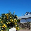 바티하우스 이미지