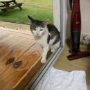 삼거리펜션민박 이미지