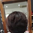 윤서연헤어살롱