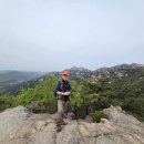 대머리근린공원 이미지