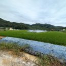 보덕2리마을회관 이미지