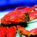 만선자원 이미지