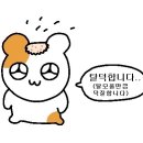 (주)한윌 이미지