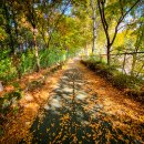 반포종합운동장 이미지