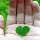 7당구클럽 이미지