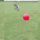 공중제비 이미지