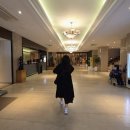 호텔서해컨벤션웨딩홀 | [2027년 상반기]부산호텔컨벤션웨딩홀 홀투어 후기 – 부산역 인근 단독 화이트홀