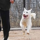 시흥시동물누리보호센터 동물병원 이미지