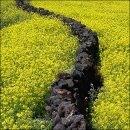 희망여관 이미지