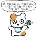 세븐일레븐 강릉주문진점 | 강릉 포시즌 호텔 경포대 사근진 오션뷰! 새해 해돋이 추천 숙소