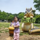 꿈터어린이집-놀이터 이미지