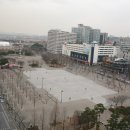 윙윙댄스스포츠 이미지