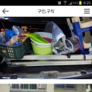 법환동-11 이미지