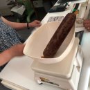 마인저 하우스 이미지