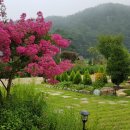 가은동물농장 이미지