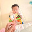 (주)다미건설 | 계란알러지 있는 아기 메추리알 계란테스트 후기 증상 노른자 흰자