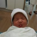 전치 앞(1) 이미지